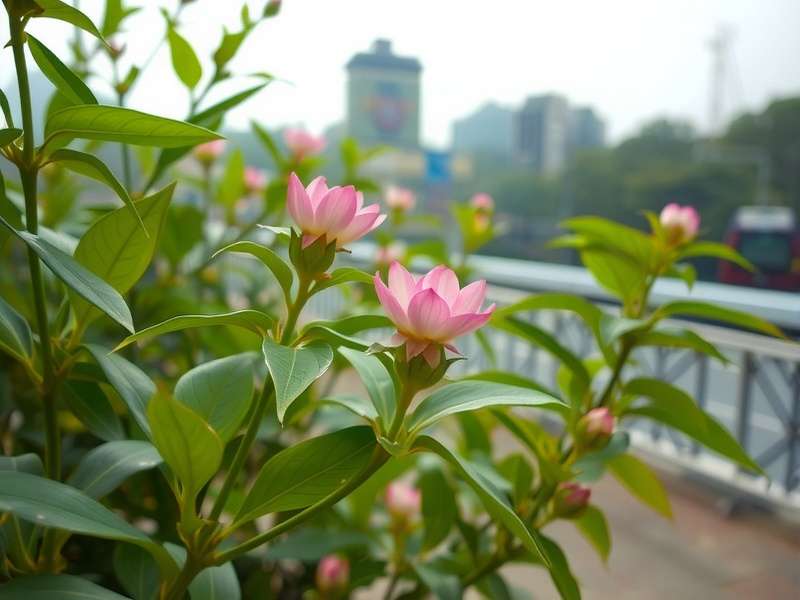 天宫花南最新写真1